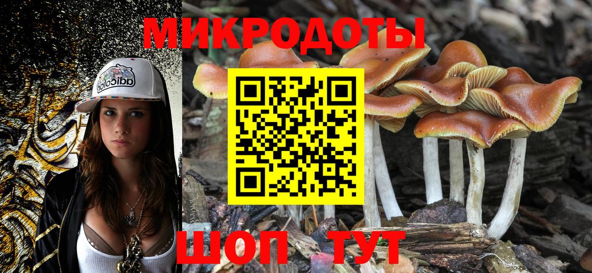 Галлюциногенные грибы MAGIC MUSHROOMS  Вход с VPN  наркошоп  Псков  Галлюциногенные грибы Psilocybe 